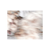 FREESIAS silk chiffon scarf