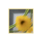 GERBERA silk neckerchief