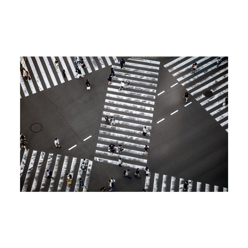 GINZA ZEBRAS oversized wool scarf
