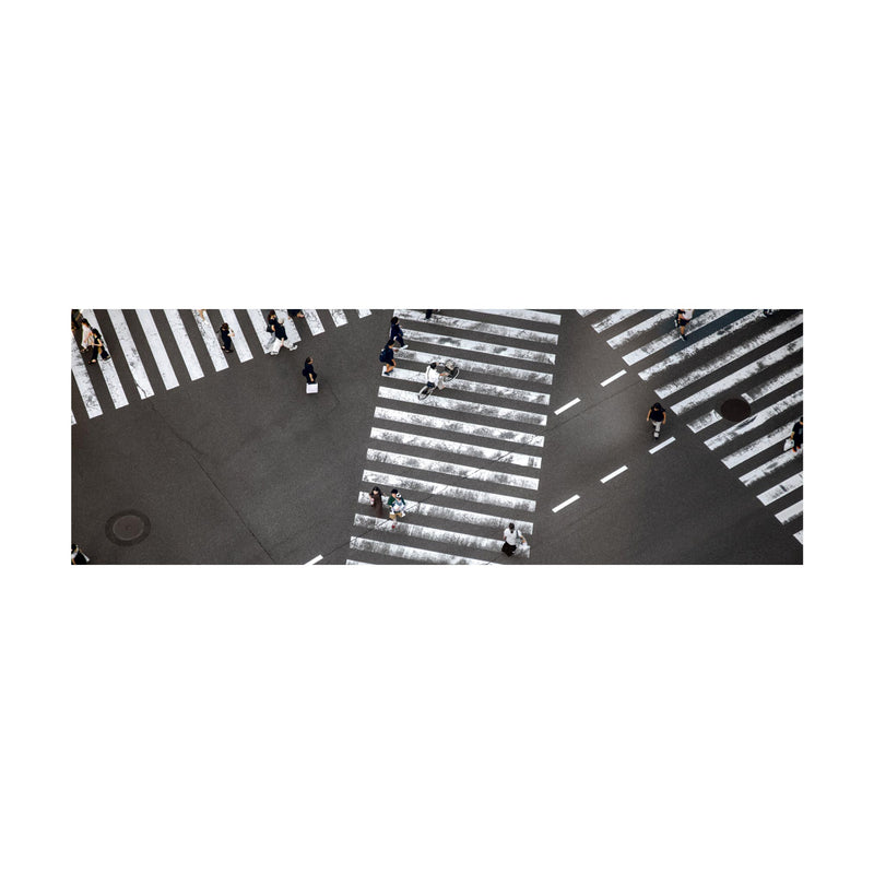 GINZA ZEBRAS skinny wool scarf