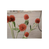 GOMPHRENA STRAWBERRIES silk chiffon scarf