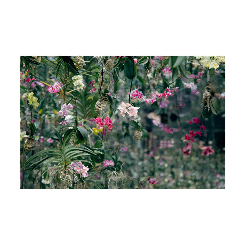 ORCHID JUNGLE oversized wool scarf