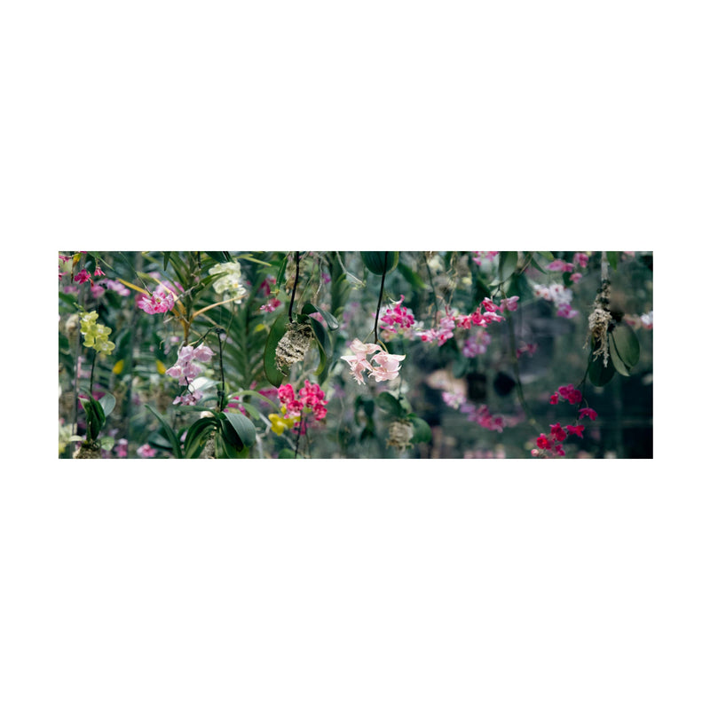 ORCHID JUNGLE skinny wool scarf