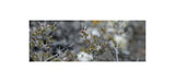 ALPINE MOSS skinny wool scarf