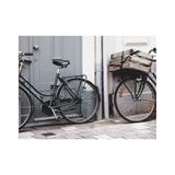 BELGIUM BIKE GANG silk chiffon scarf